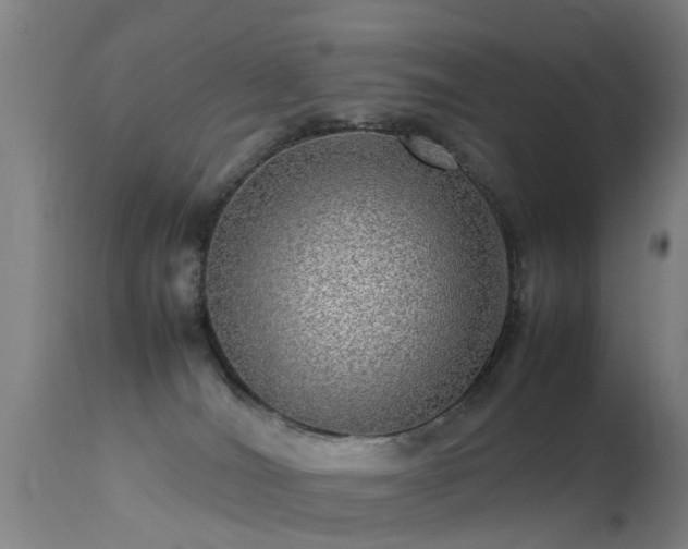 X0000113290036200909211114