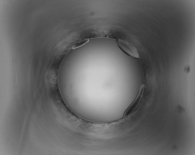 X0000113290037200909211114