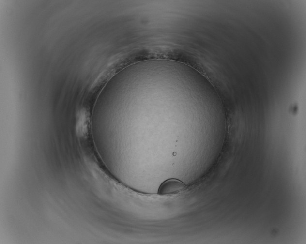 X0000113290038200909211114