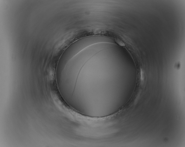 X0000113290039200909211114