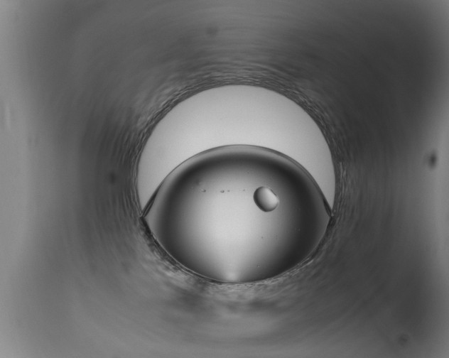 X0000113290041200909211114