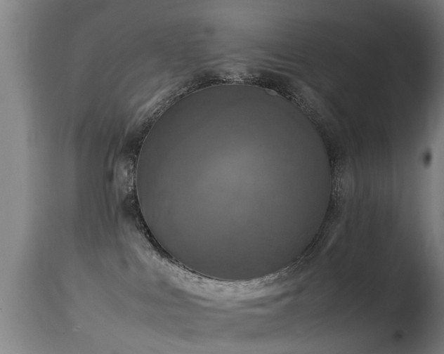 X0000113290043200909211114