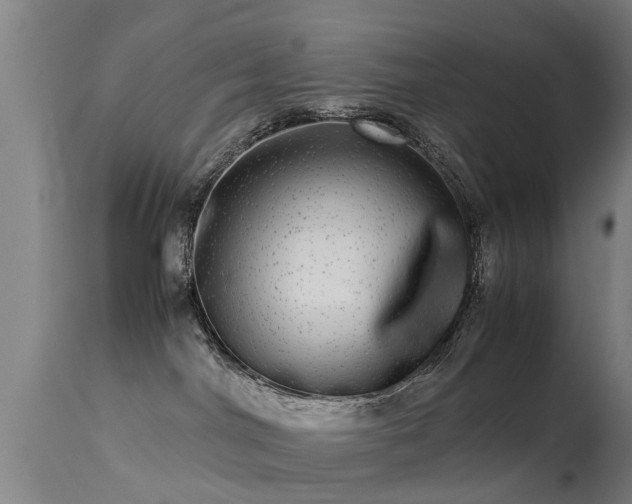 X0000113290044200909211114