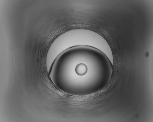 X0000113290045200909211114