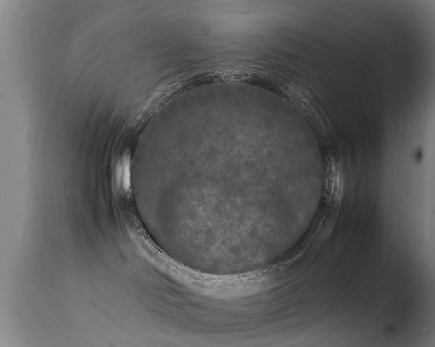 X0000113290046200909211114