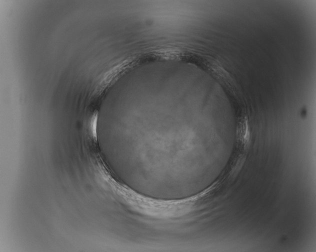 X0000113290047200909211114