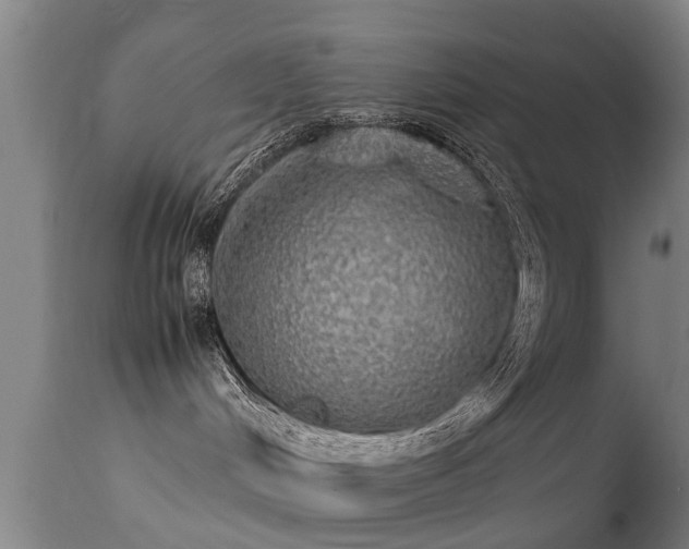 X0000113290048200909211114