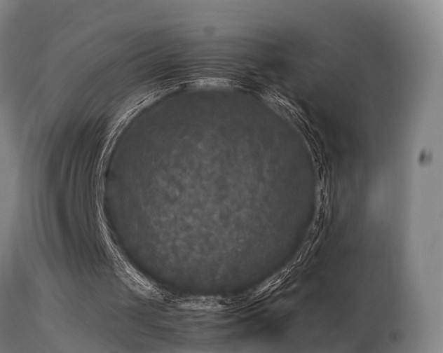 X0000113290049200909211113