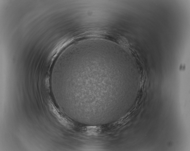 X0000113290050200909211113