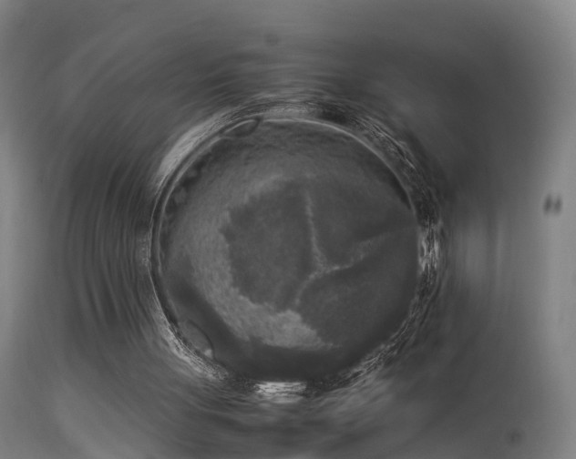 X0000113290051200909211113