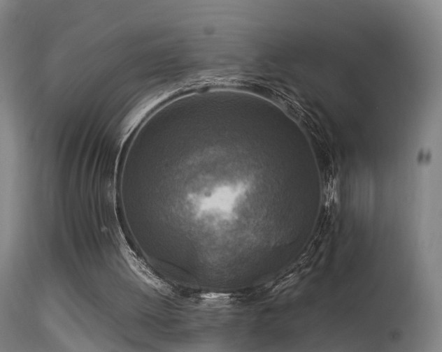 X0000113290052200909211113