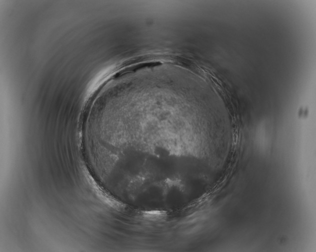 X0000113290053200909211113