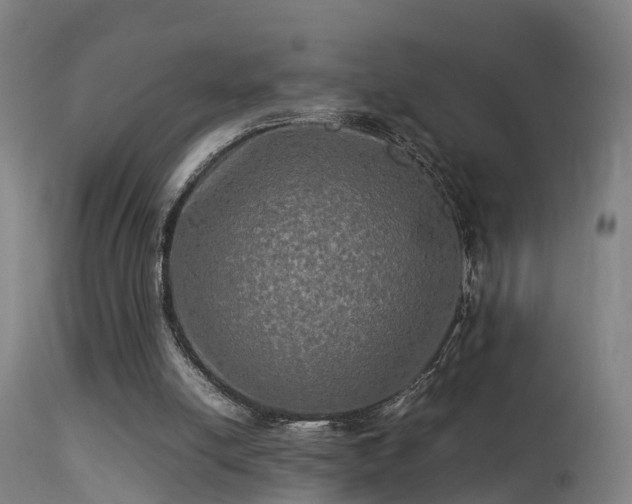 X0000113290054200909211113