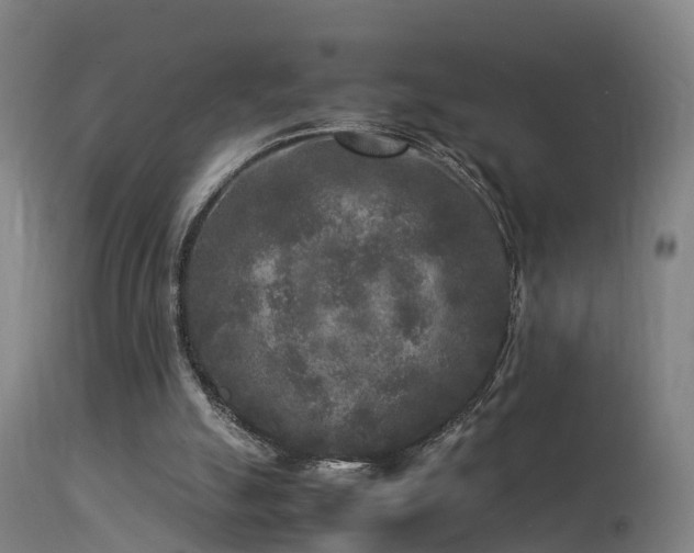 X0000113290055200909211113