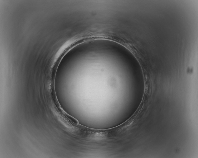 X0000113290056200909211113