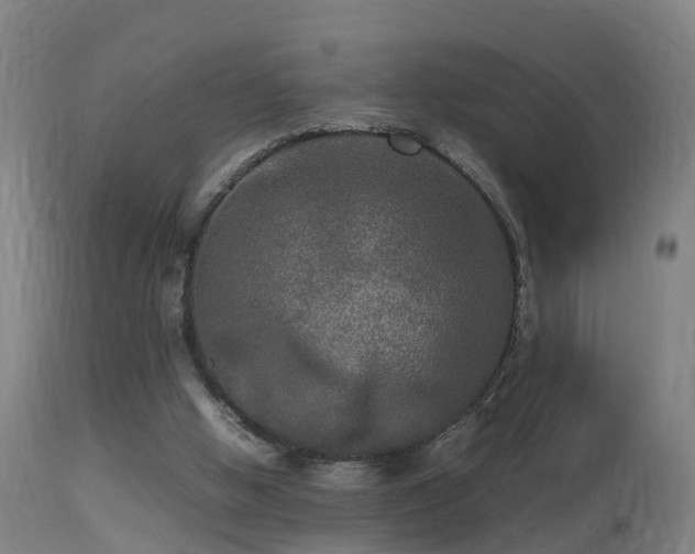 X0000113290058200909211113