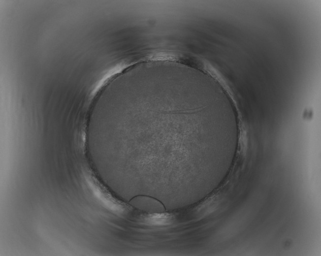 X0000113290059200909211113