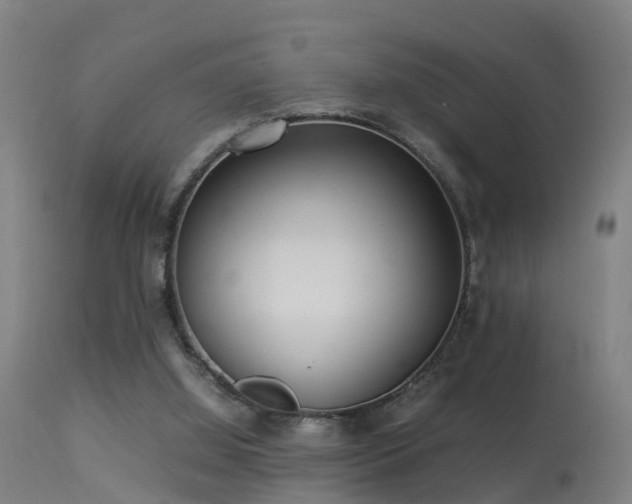 X0000113290060200909211113