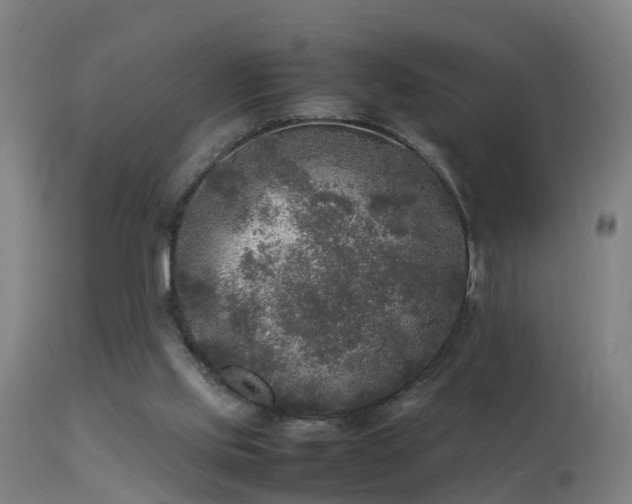 X0000113290061200909211113