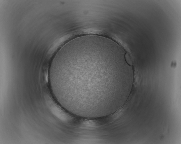 X0000113290062200909211113