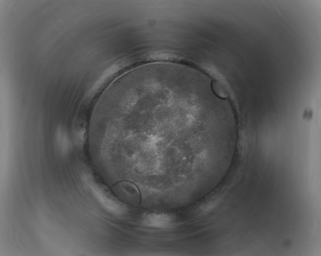 X0000113290063200909211113