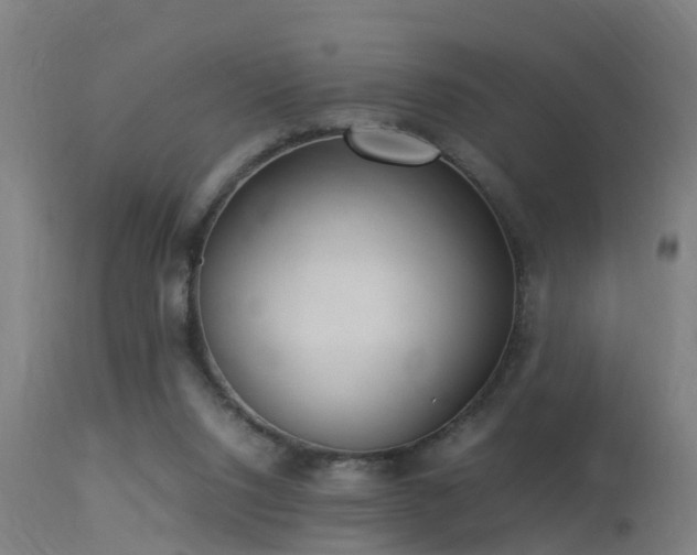 X0000113290064200909211113