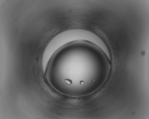 X0000113290065200909211113