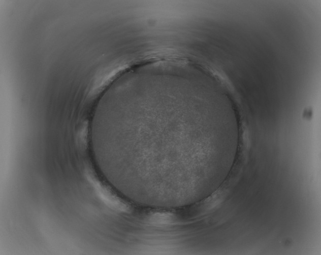 X0000113290066200909211113