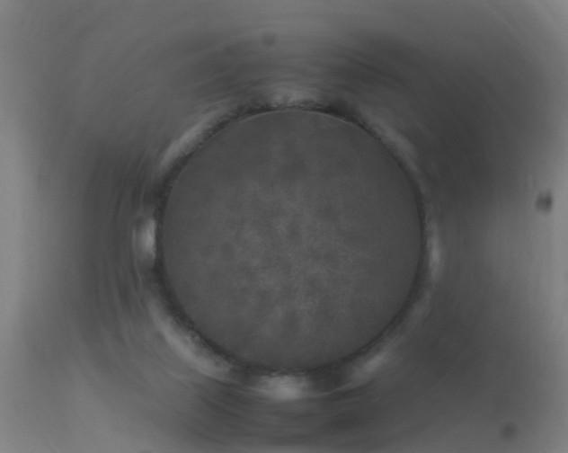 X0000113290067200909211113