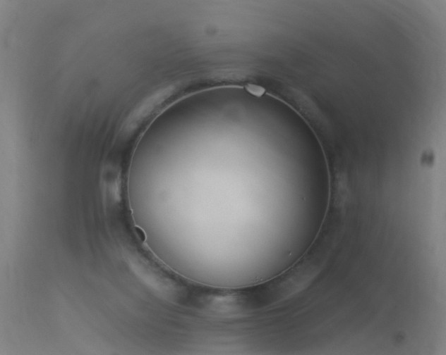 X0000113290068200909211113