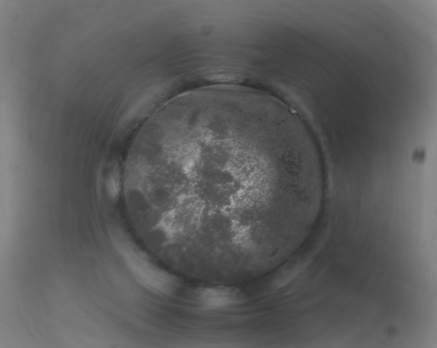 X0000113290069200909211113