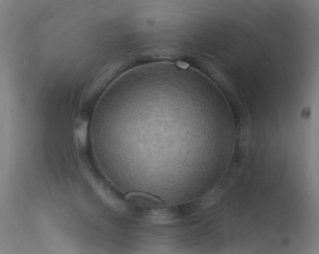 X0000113290070200909211113