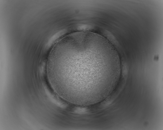 X0000113290071200909211113