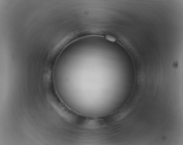 X0000113290072200909211113