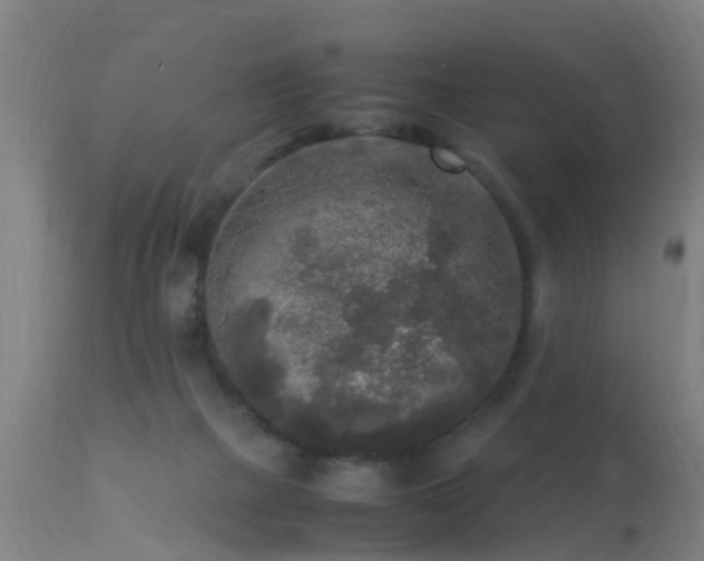 X0000113290073200909211113