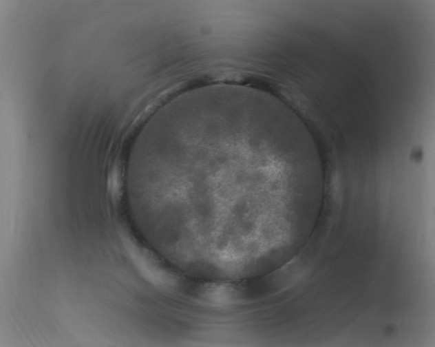 X0000113290074200909211113