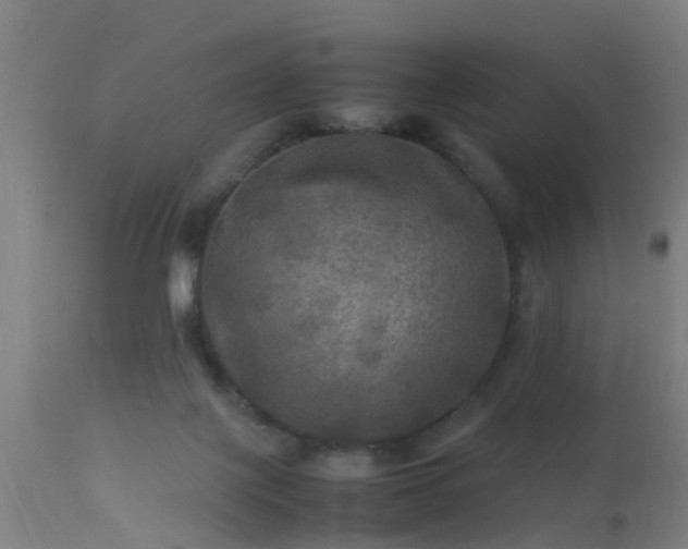 X0000113290075200909211113