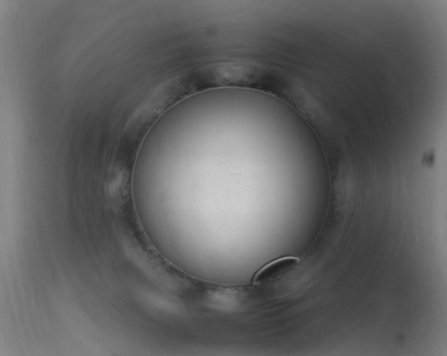 X0000113290079200909211113