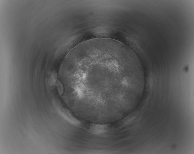 X0000113290081200909211113