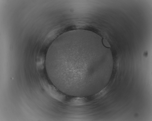 X0000113290082200909211113