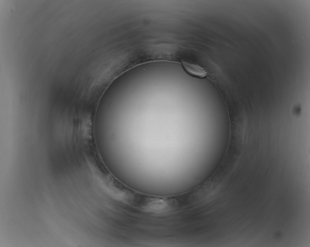 X0000113290083200909211113