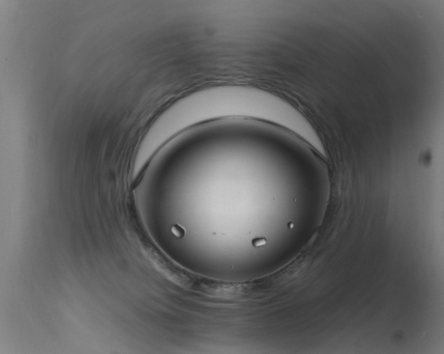 X0000113290084200909211113