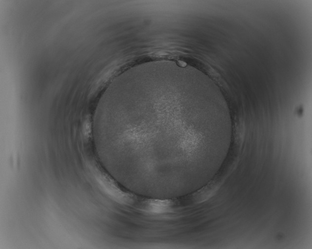 X0000113290085200909211113