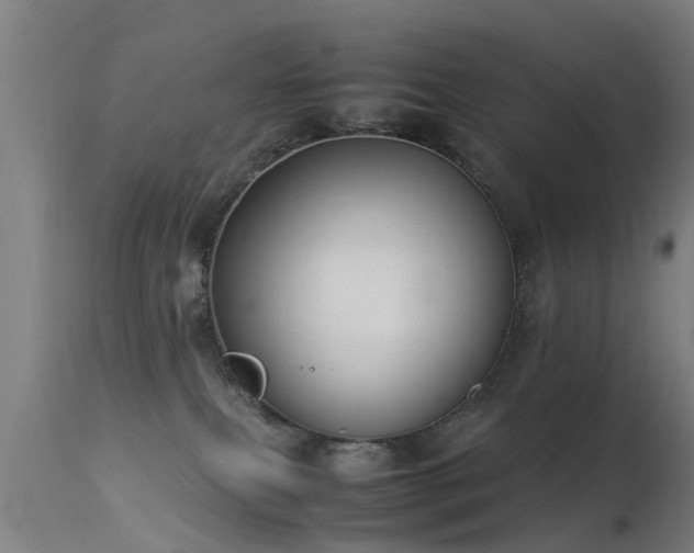 X0000113290087200909211113