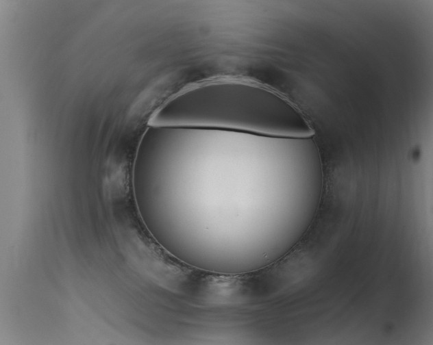 X0000113290088200909211113