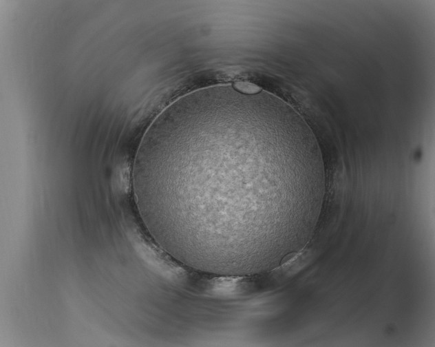 X0000113290090200909211114