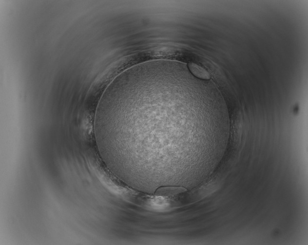 X0000113290091200909211114