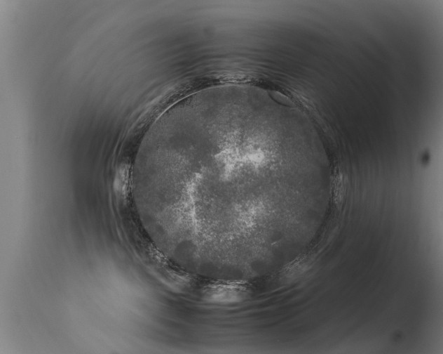 X0000113290093200909211114