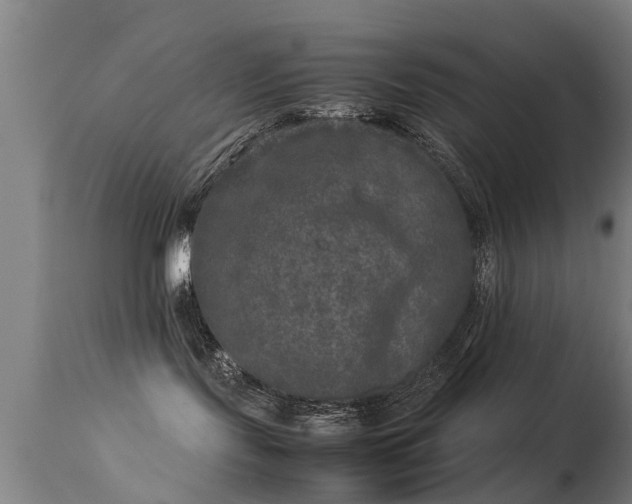 X0000113290095200909211114