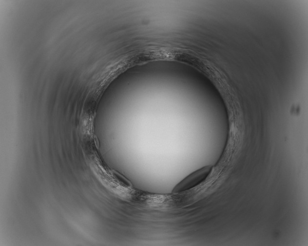 X0000113290096200909211114